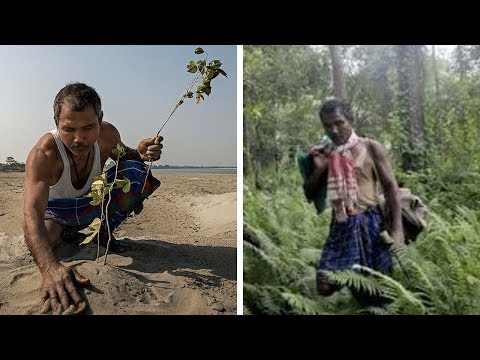 Youtube: Er pflanzt jeden Tag einen Baum, was nach 37 Jahren entsteht, ist unglaublich...
