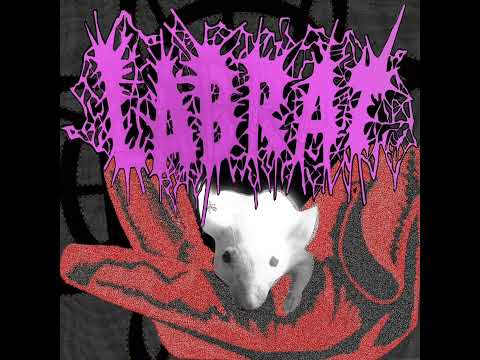 Youtube: LAB RAT - Demo 2023