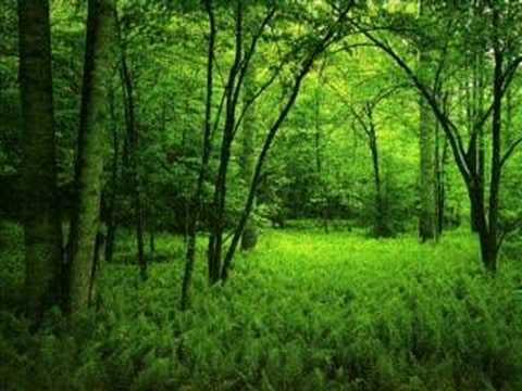 Youtube: Johann Pachelbel - Canon (drums edit)