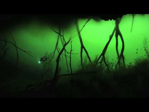 Youtube: The Passage (final scene) with Guillaume Néry