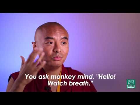 Youtube: How to train your monkey mind.