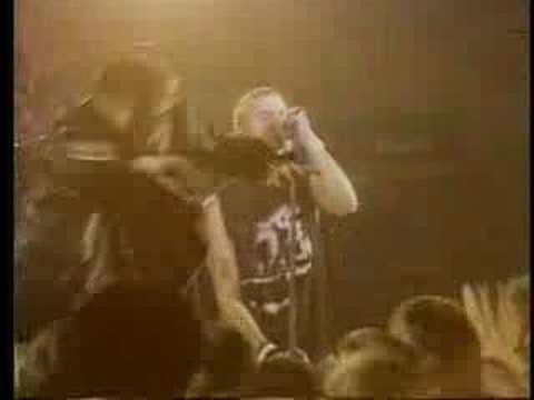 Youtube: Peter and the test tube babies - Moped Lads