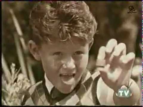 Youtube: Elefanten vergessen nie (lustige Rolo Werbung)