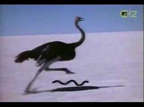 Youtube: Talk Talk - It´s My Life