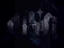 Youtube: Soilwork - Martyr