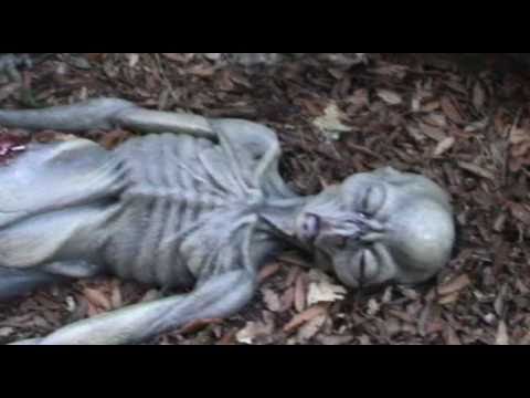 Youtube: Life in a Day Incident