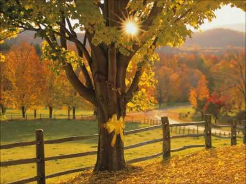 Youtube: Tie a yellow ribbon 'round the ole oak tree Lyrics Fixed