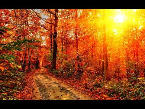 Youtube: Herbstlied - Wenzel und Band