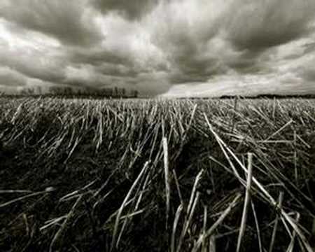 Youtube: len faki - my black sheep (radio slave remix)