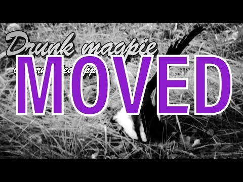 Youtube: Moved to my other channel @Norwegianwildlifeandrurallife