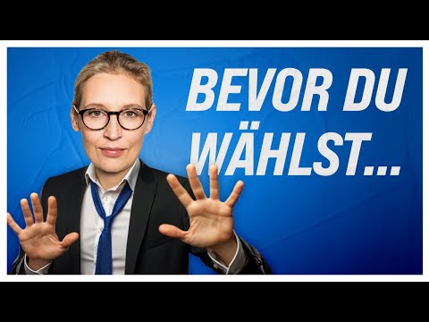 Youtube: Ist die AfD eine legitime Alternative? - Bevor du wählst...