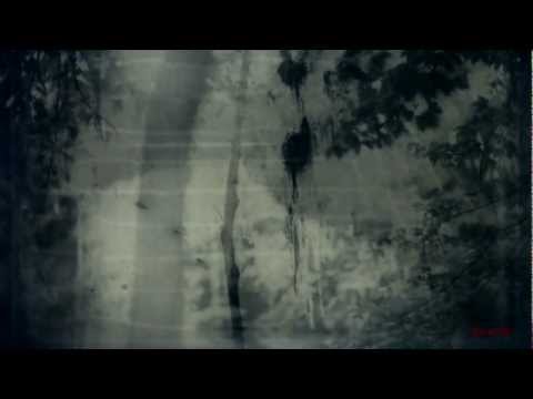 Youtube: BURZUM - Dunkelheit HD (Unofficial Music Video)