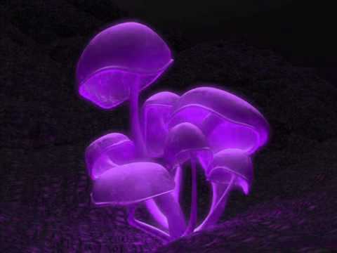 Youtube: Nebula - Giant