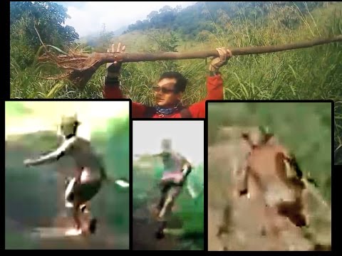 Youtube: ?? Orang Pendek, Entity, Alien ?? - Breakdown