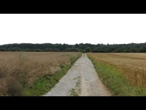 Youtube: Ein Bett im Kornfeld-Musik Video