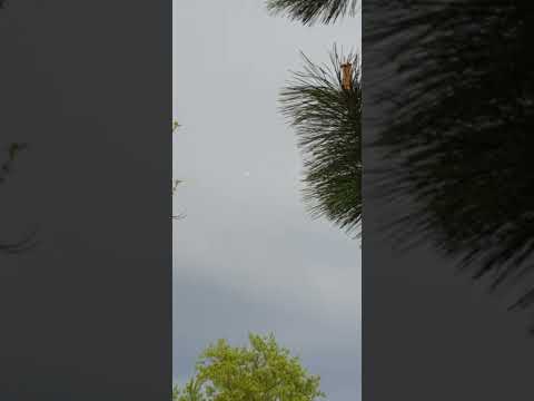 Youtube: idk ufo2