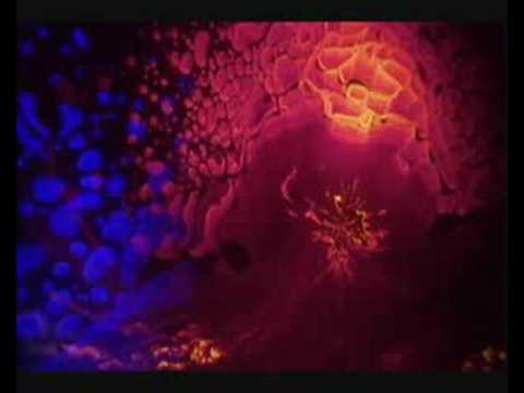 Youtube: Ash Ra Tempel - Schizo
