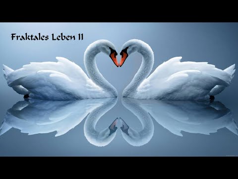 Youtube: TommyG-Fraktales Leben II