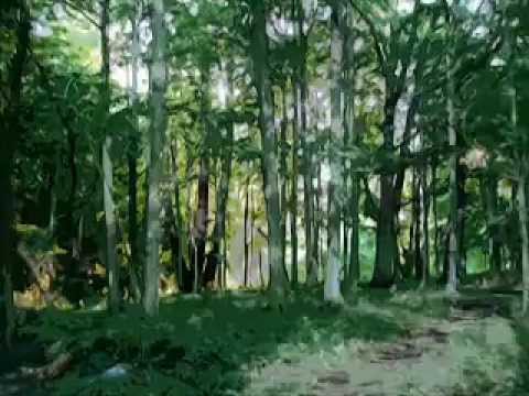 Youtube: Brian Eno - Just Another Day - Time Lapse - Four Seasons