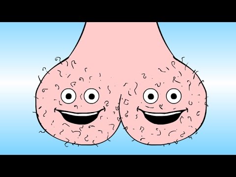 Youtube: Do your balls hang low