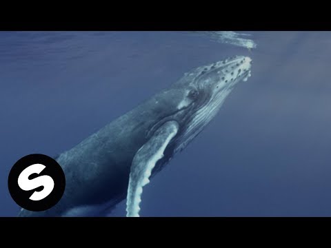 Youtube: Alok, Zeeba and IRO - Ocean (Official Music Video)
