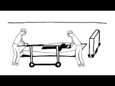 Youtube: Das Leben Rückwärts
