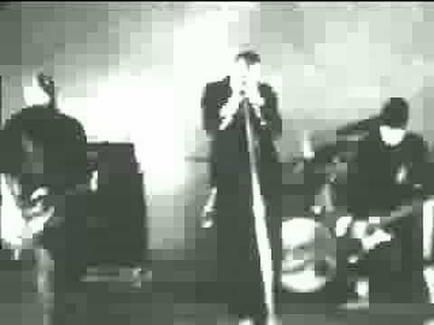 Youtube: Snot - Stoopid