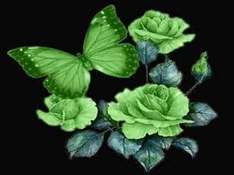 Youtube: Ghost of a Rose--Blackmores Night