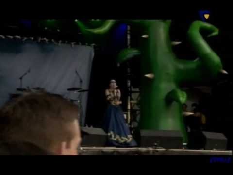 Youtube: Within Temptation Never Ending Story Live