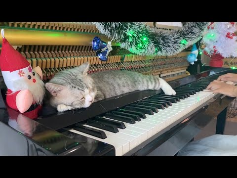Youtube: [30 MINUTES] Top 10 Christmas Songs with HABURU 2025