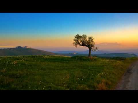 Youtube: Ennio Morricone - La califfa