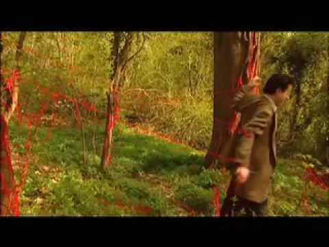 Youtube: The Postal Service - Sleeping In
