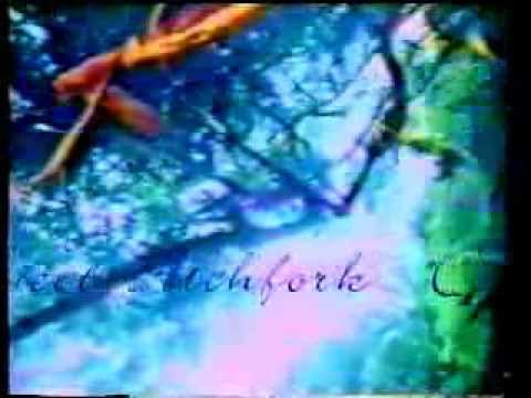 Youtube: Project Pitchfork - Conjure