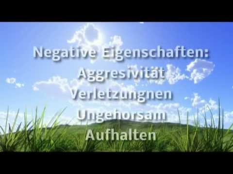 Youtube: Traumdeutung Hund - - - Hunde - Welpen - Köter - Dogge - beißen - Biss
