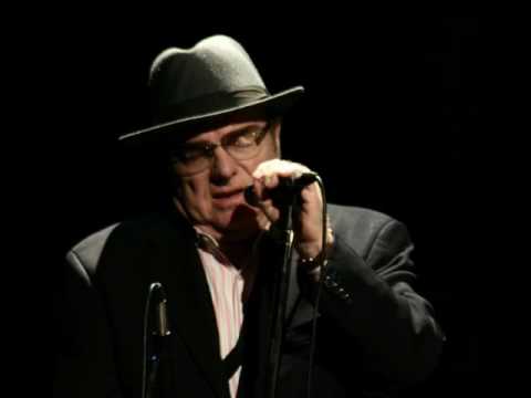 Youtube: van morrison-high summer