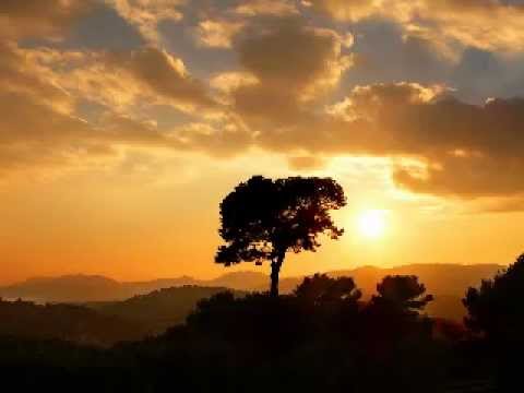 Youtube: LISA GERRARD - Aria (featured in Layer Cake)