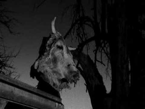 Youtube: Xasthur  Cursed Revelations