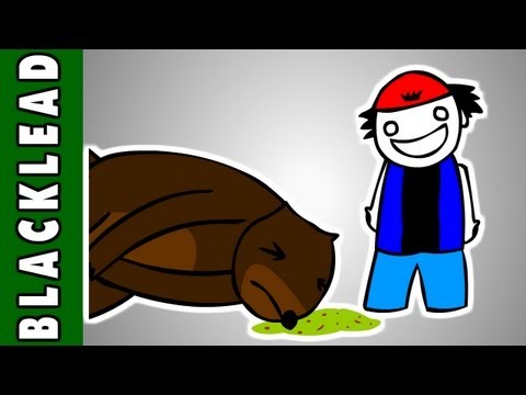 Youtube: POKEMON!...aber mit Tieren 1 [German Version]©TheHamWalletDotCom