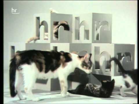 Youtube: hr Katzen