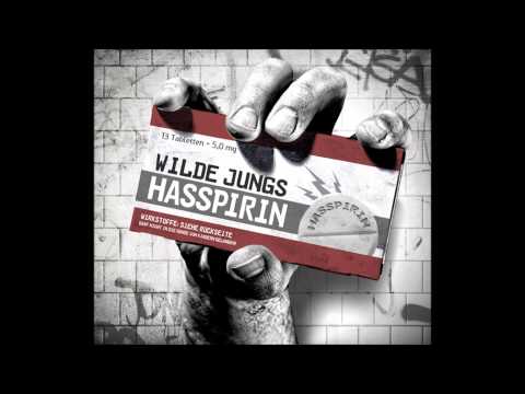 Youtube: Wilde Jungs   Ich muss nen Scheiß