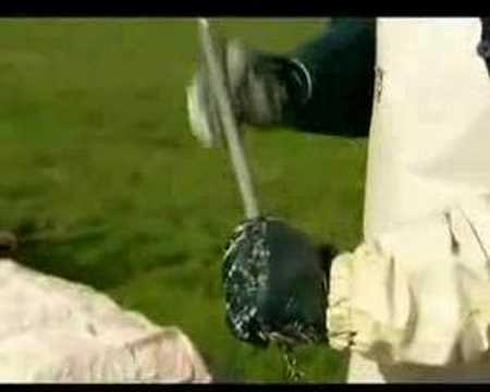 Youtube: Eishai-Spezialität auf Island