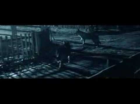 Youtube: E-Nomine - Schwarze Sonne