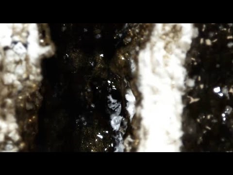 Youtube: HVOB - Ghost [Official]