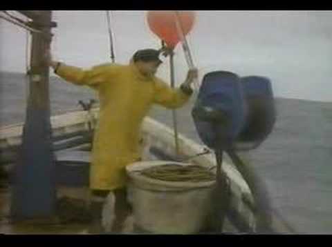 Youtube: Blancmange - Waves