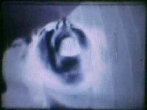Youtube: LIKE A GHOST (Steve Kilbey)