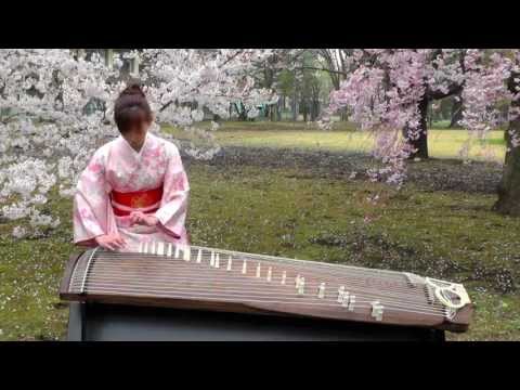 Youtube: さくら(Sakura)　25絃箏 (25 strings koto)