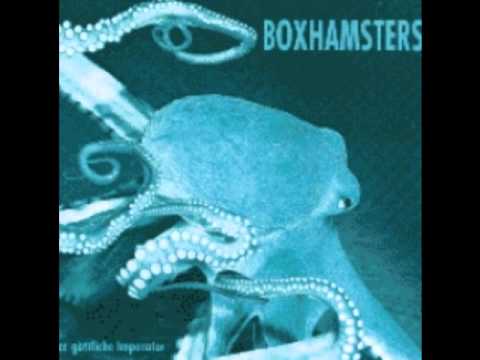 Youtube: Boxhamsters - Der Gute König