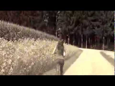 Youtube: Froh dabei zu sein ~Philipp Poisel (unofficial Video)