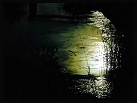 Youtube: Heaven's Hung In Black - - - W.A.S.P.