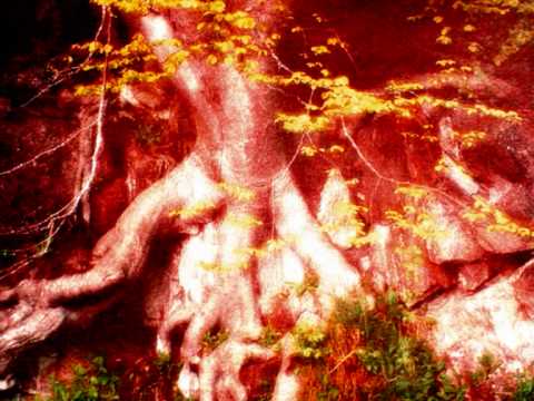 Youtube: BROKEN HOME - Oh Yeah - 2010 video version - A Movie by Falke58.wmv